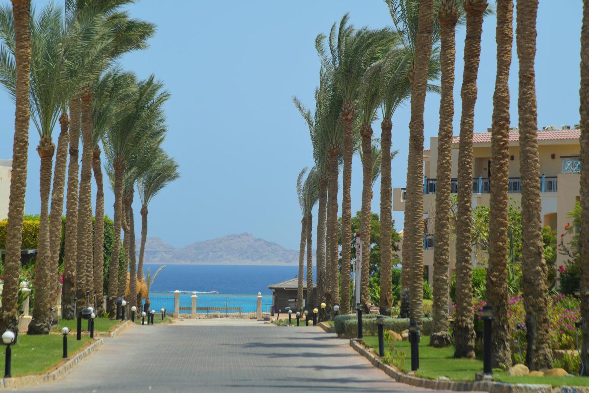 Ivy Cyrene Sharm Resort Adults Friendly Plus 13 Экстерьер фото